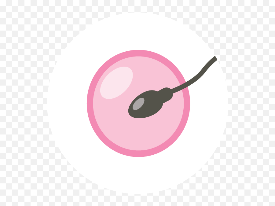 Twitter Icon Pink Png Transparent Cartoon - Jingfm Dot Emoji,Twitter Icon Transparent