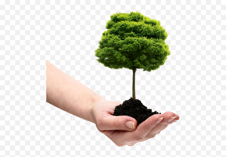 Tree And Soil Transparent U0026 Png Clipart 336347 - Png Images Save Tree Logo Png Emoji,Soil Clipart