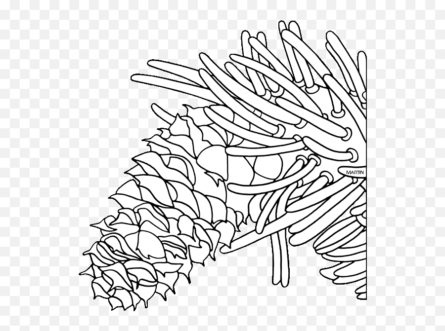 United States Clip Art By Phillip Martin State Tree Of - Virginia Pine Emoji,Pine Cone Clipart