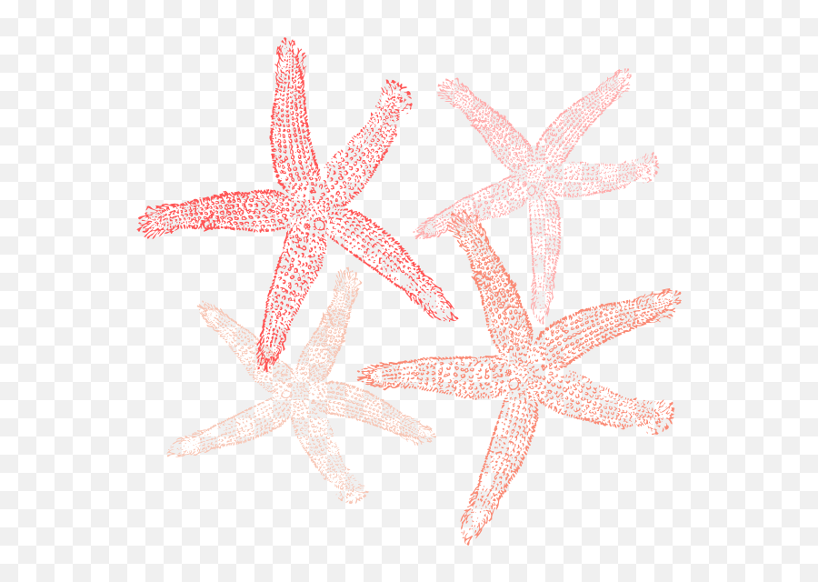 Starfish Colors Clip Art At Clkercom - Vector Clip Art Flipper Y Chiller Emoji,Starfish Clipart
