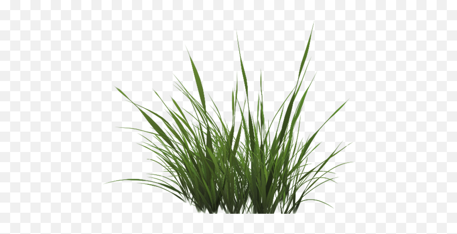 Learnopengl - Png Grass Emoji,Transparent Textures