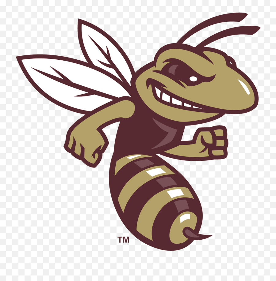 Team Home Licking Heights Hornets Sports - Licking Heights Logo Emoji,Hornets Logo