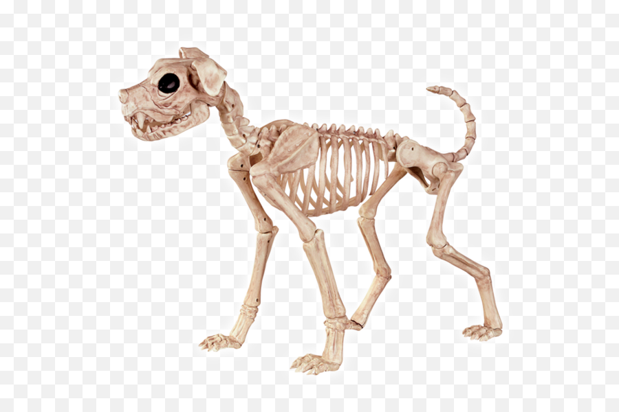 Animal Skeleton Transparent U0026 Png Clipar 1716143 - Png Halloween Skeleton Dog Emoji,Skeleton Transparent