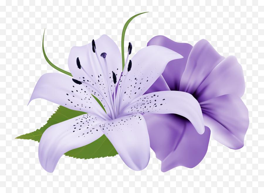 Library Of Easter Stock Tall Flower Png Png Files - Single Flowers Images Hd Emoji,Easter Lily Clipart