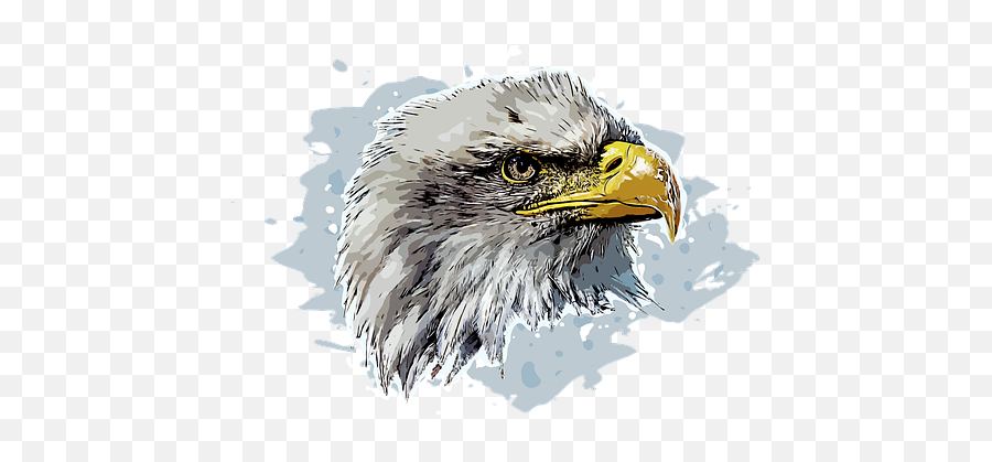 90 Free Bald Eagle U0026 Eagle Illustrations - Pixabay Bald Eagle Emoji,Bald Eagle Clipart