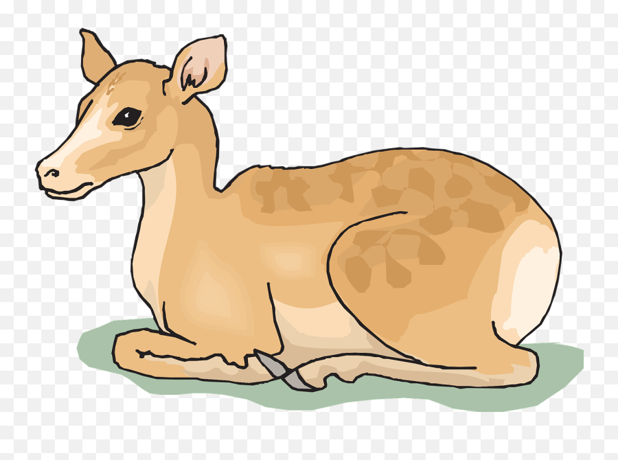 Deer Clipart Wildlife - Deer Sitting Clipart Transparent Deer Sitting Clipart Emoji,Deer Clipart