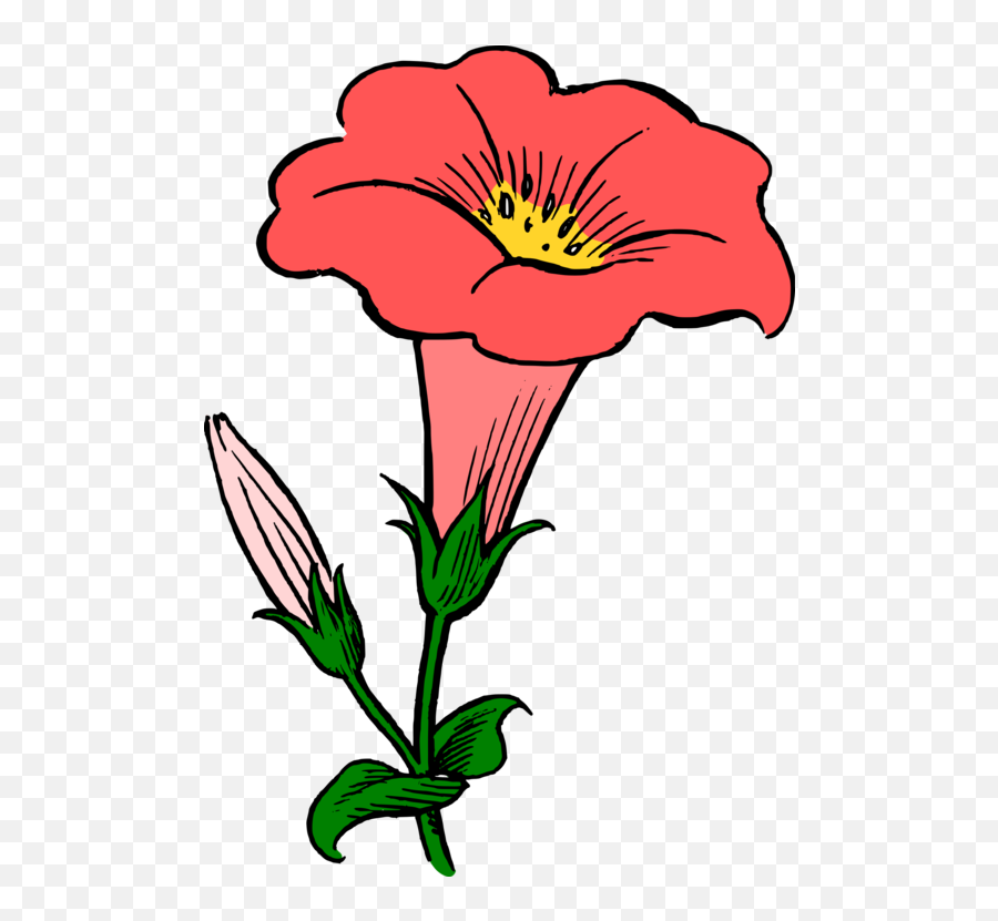 Plantfloraart Png Clipart - Royalty Free Svg Png Gamopetalous Flower Emoji,Youtube Clipart