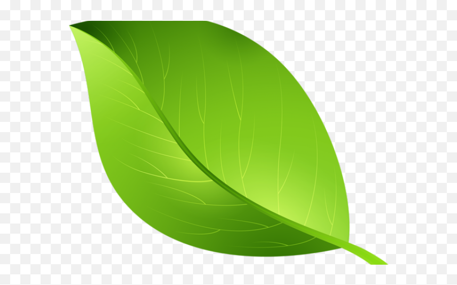 Free Green Leaf Transparent Background - Transparent Background Leaf Png Clipart Emoji,Leaf Transparent Background