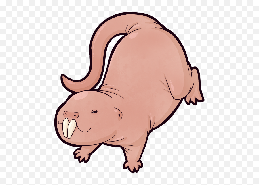 I Love Naked Mole Rats - Cute Naked Mole Rat Drawings Emoji,Rat Clipart