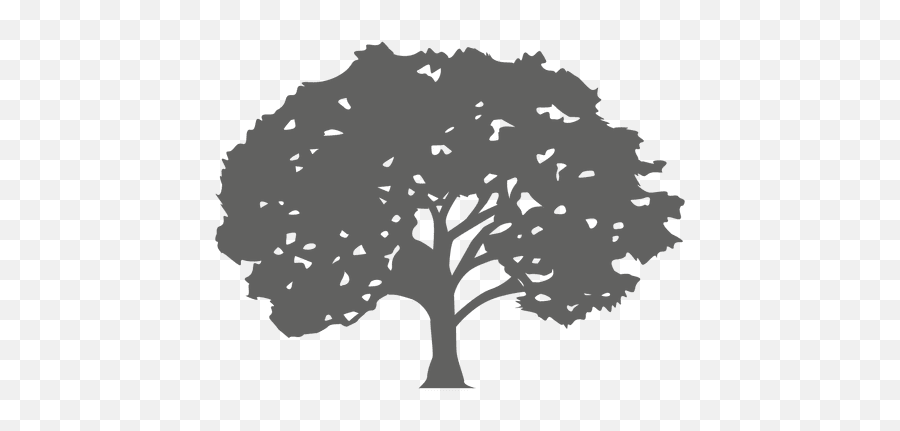 Maple Tree Silhouette 1 - Transparent Png U0026 Svg Vector File Enfield Emoji,Trees Silhouette Png