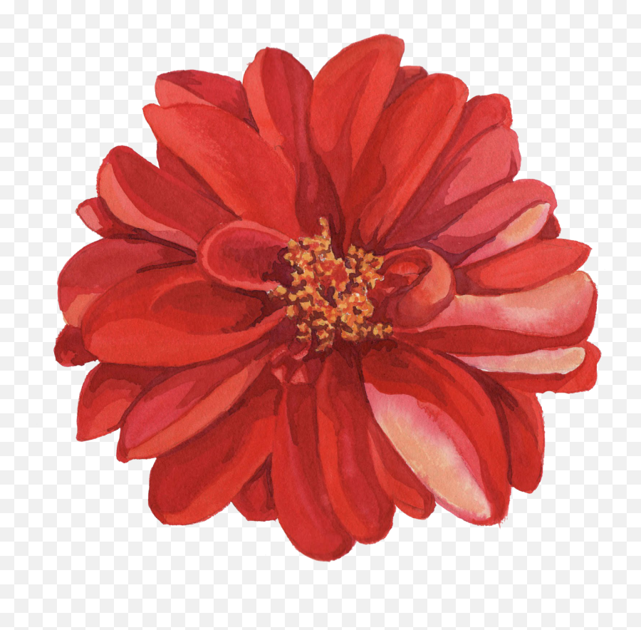 Flower Crown Png Tumblr - Transparent Watercolor Flower Red Emoji,Flower Drawing Png