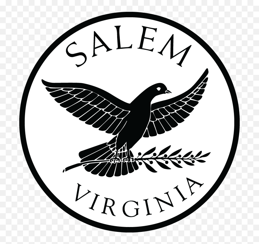 Branding U0026 Logos - City Of Salem Virginia Logo Emoji,Modern Logos