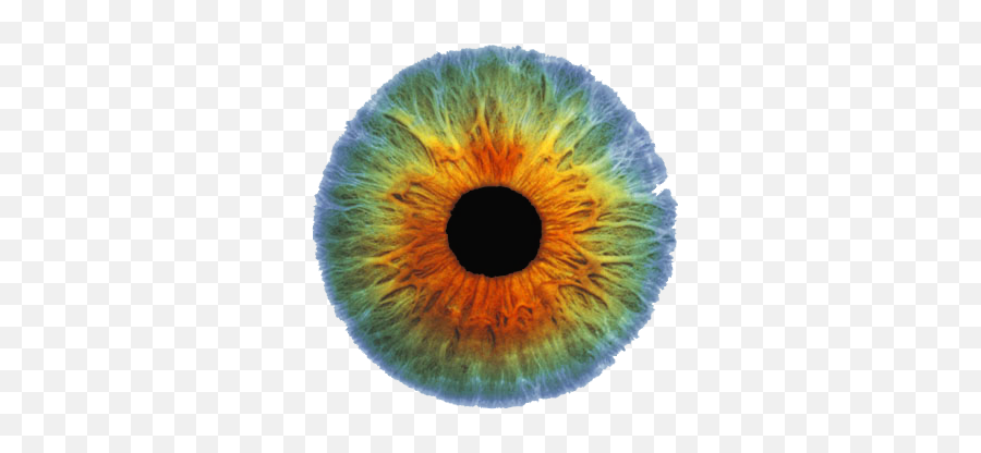 Real Eye Png Image - Girija Devi Ophthalmology Emoji,Eye Png
