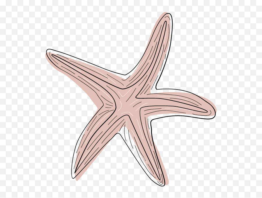 Free Online Starfish Sea Plant Underwater Vector For - Portable Network Graphics Emoji,Starfish Clipart