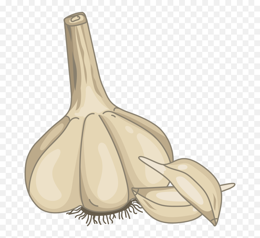 Free Transparent Garlic Png Download - Elephant Garlic Emoji,Garlic Png