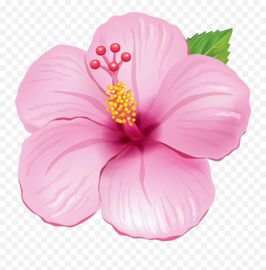 Flower Clipart Transparent Background Flower Transparent - Moana Flower Emoji,Flower Transparent