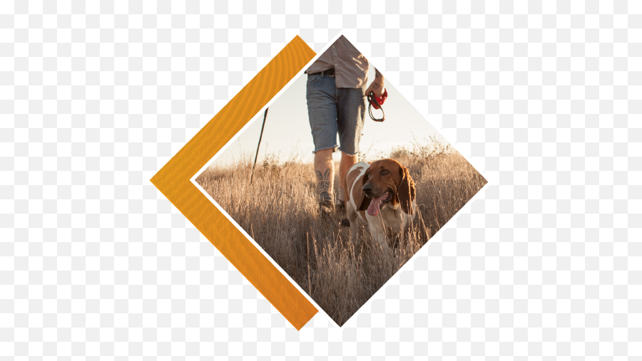 Summit Health - Member Home Emoji,People Walking Dog Png