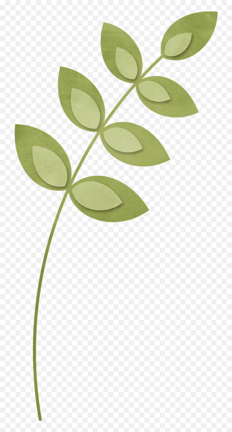 Scrapbooking Plant Stem Branch - Fairy Lights Png Download Emoji,Scrapbook Png