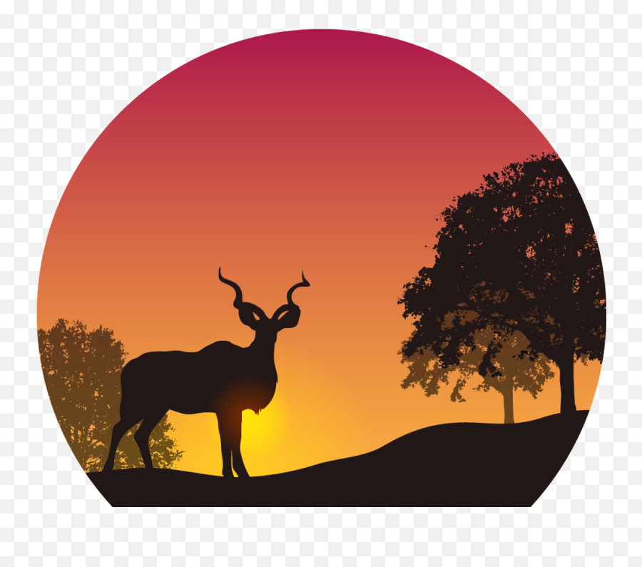 Download Sunset Png Image For Free - Sunset Kudu Silhouette Emoji,Sunset Png