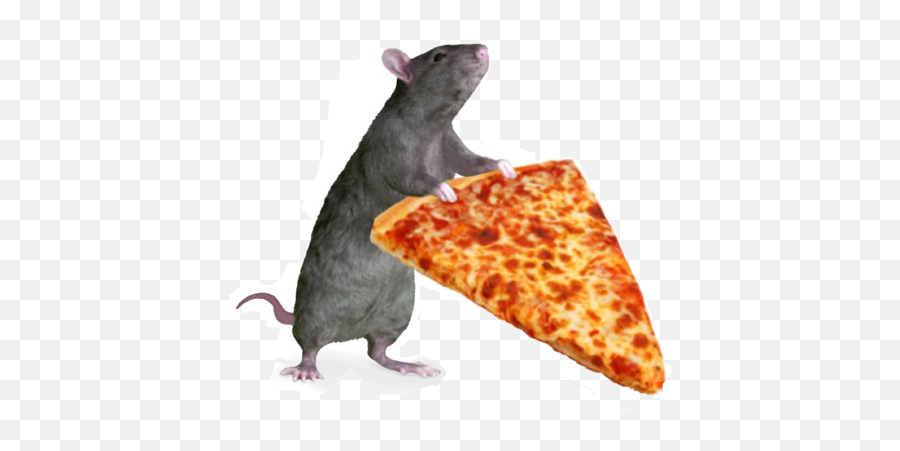 Rat Pizza Rat Sticker - Pizza Rat Stickers Imessage Emoji,Rat Transparent Background