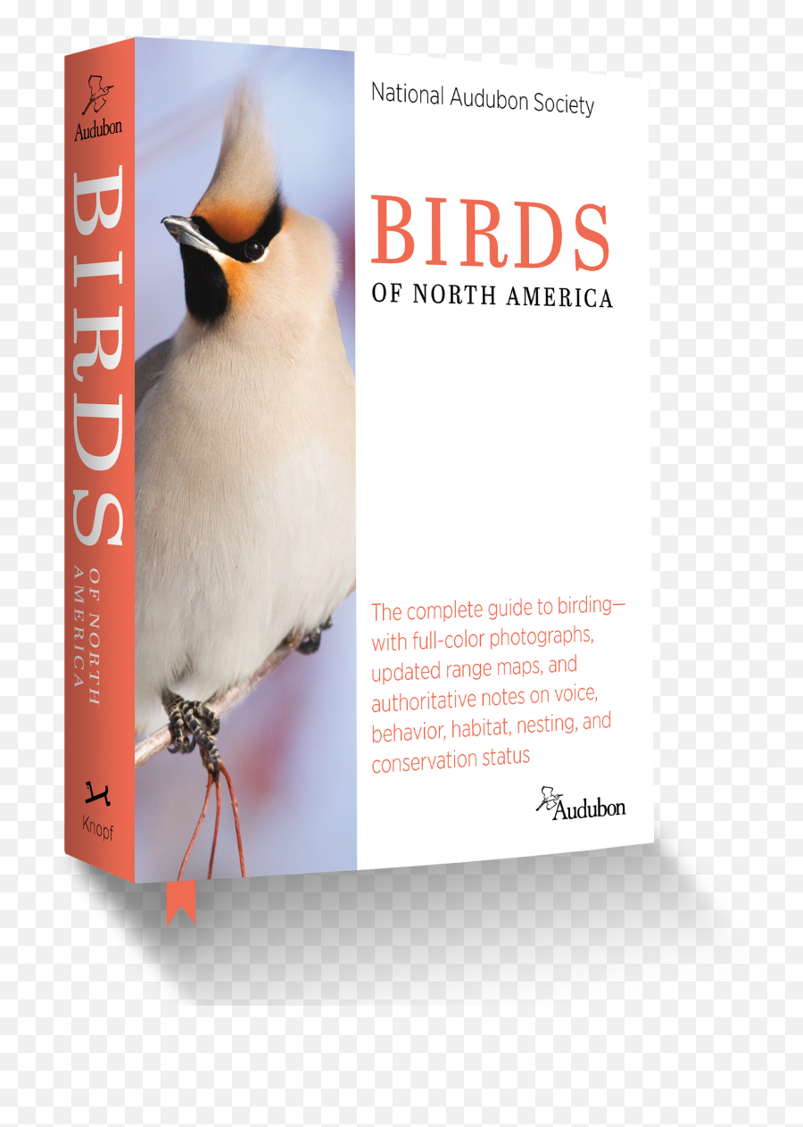National Audubon Society Birds Of North Emoji,North America Png