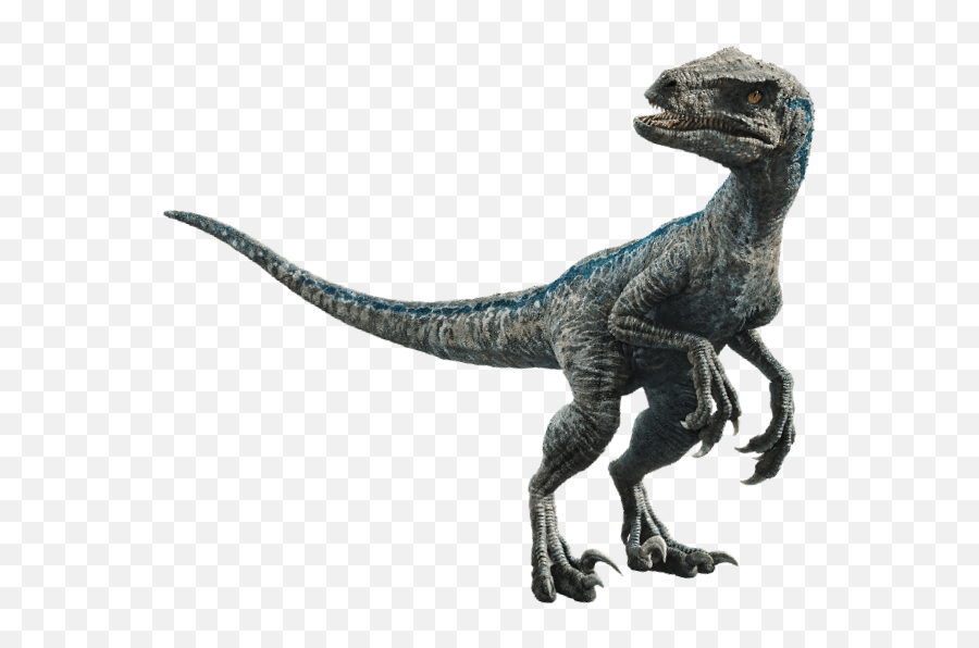 Jurassic Park Png - Jurassic World Velociraptor Blue Emoji,Velociraptor Png
