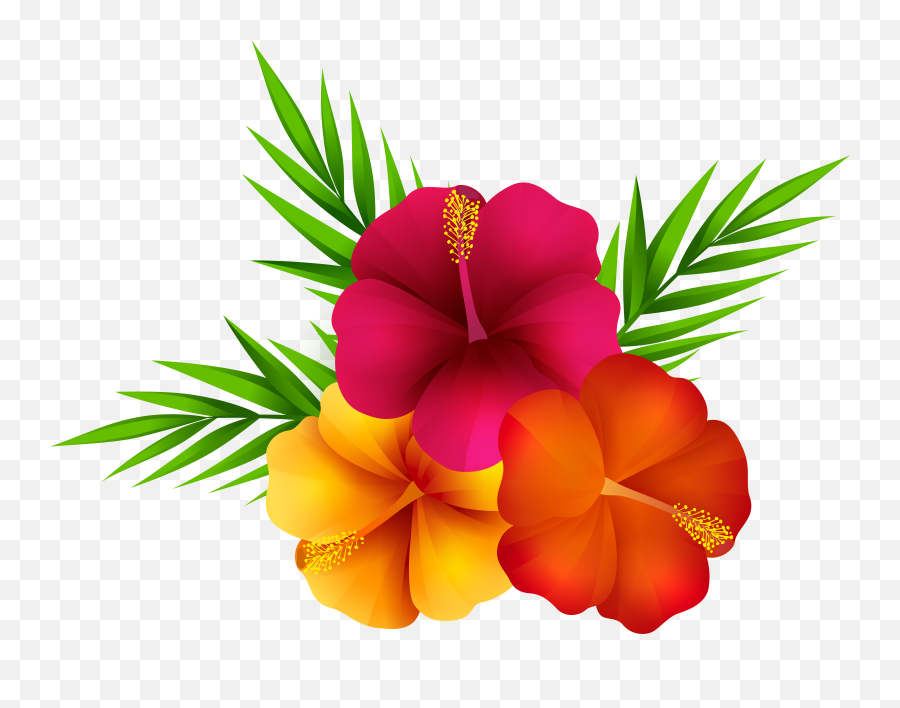 Download Exotic Flowers Png Clip Art Imageu200b Gallery - Clipart Transparent Background Tropical Flower Emoji,Flowers Transparent Background
