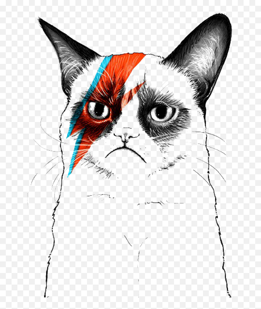 Grumpy Cat Musician Artist Emoji,Grumpy Cat Clipart