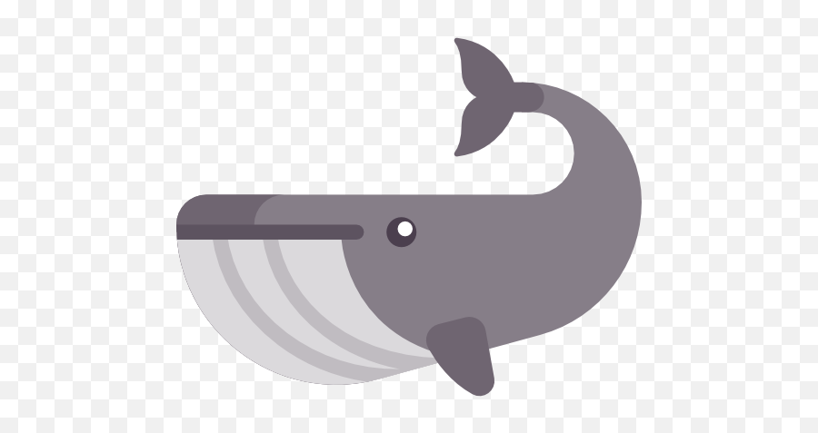 Whale Free Icon - Killer Whale 512x512 Png Clipart Download Emoji,Orca Whale Clipart