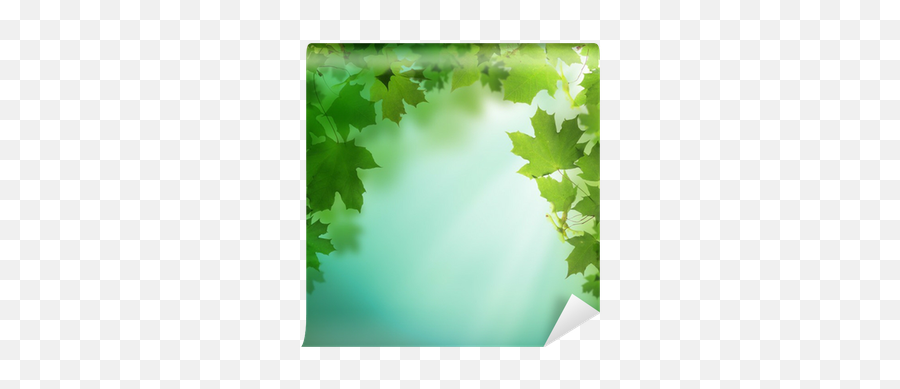 Summer Or Spring Green Background With Greenery Foliage Wall Mural U2022 Pixers - We Live To Change Yeil Doa Arka Plan Emoji,Greenery Png