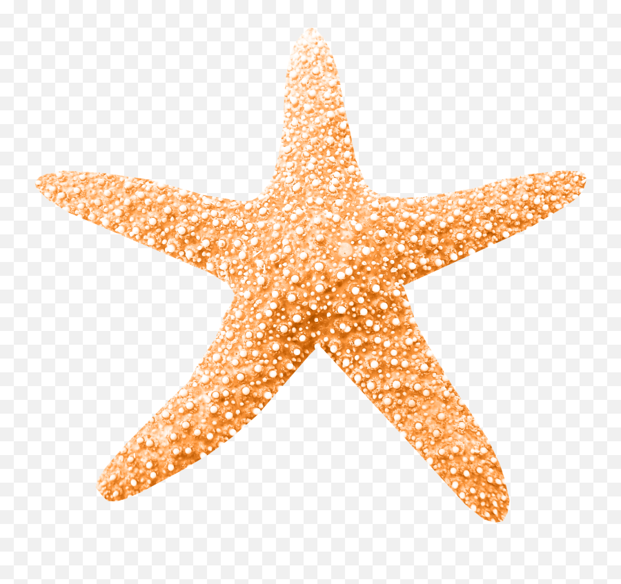Peaches Clipart Starfish Peaches Starfish Transparent Free - Peach Starfish Emoji,Starfish Clipart