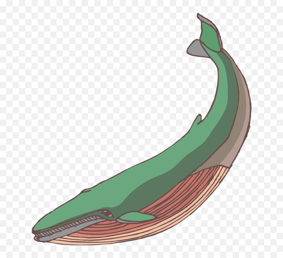 Blue Whale Clipart Whale Watching - Illustration Hd Png Clip Art Emoji,Watching Clipart