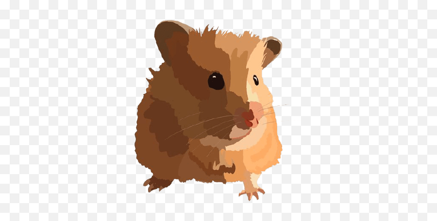 Hamsters Chinchillas U0026 Degu Adoption - Collective Animal Emoji,Chinchilla Clipart