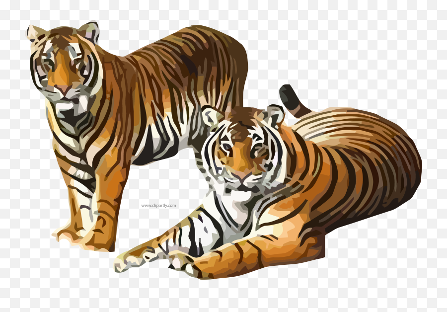 Two Tiger Waiting Clipart Png Image - Tigers Clipart Png Emoji,Tiger Clipart