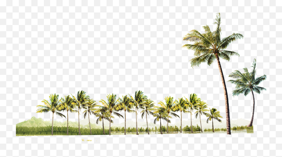 Download Coconut Tree Free Clipart Hd - Clipart Beach Coconut Tree Emoji,Coconut Clipart