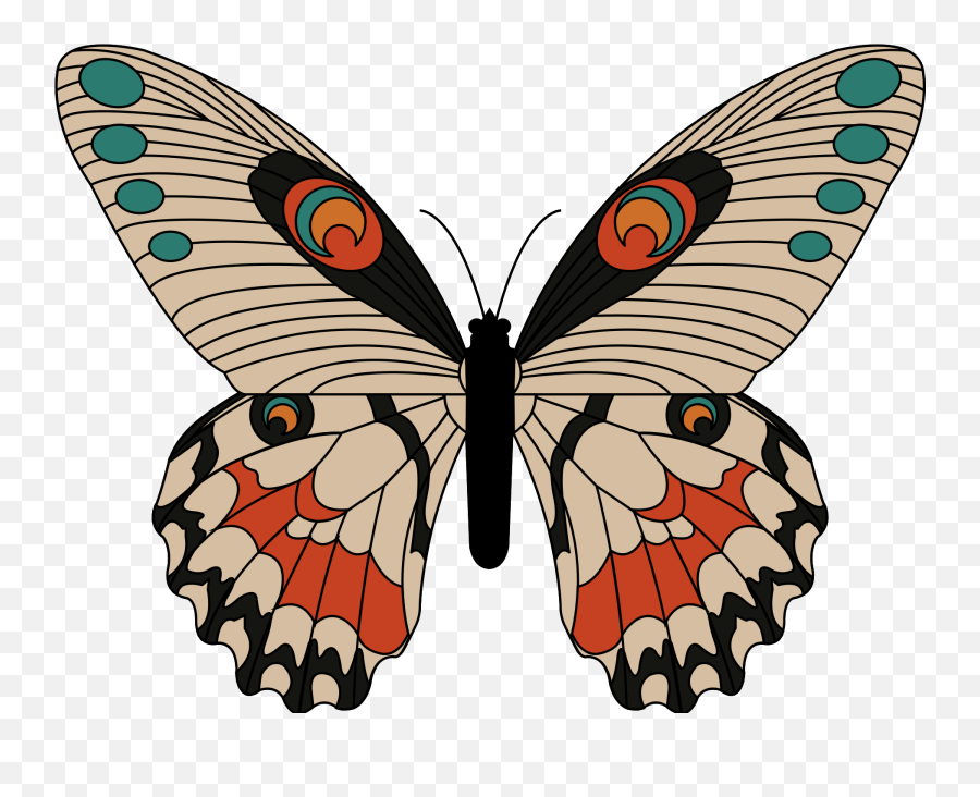 Free Butterfly 1198221 Png With Transparent Background - Butterflies Emoji,Butterfly Silhouette Png