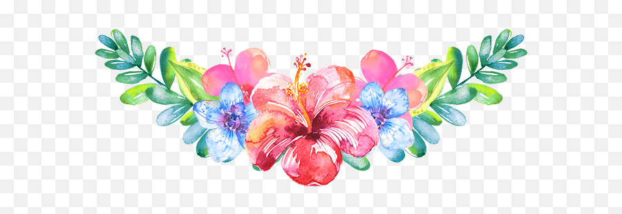 Download Hd Bloom Pink Frame Flower Border Flowers White - Frame Hibiscus Border Emoji,Water Color Png