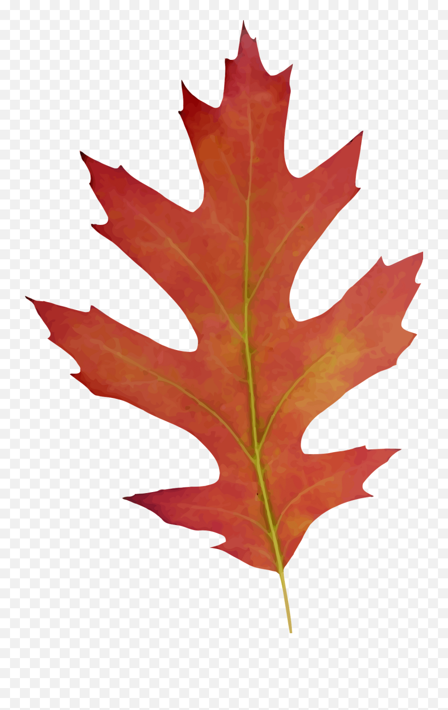 Red Oak Leaf Clipart - Transparent Oak Tree Leaf Emoji,Oak Leaf Clipart