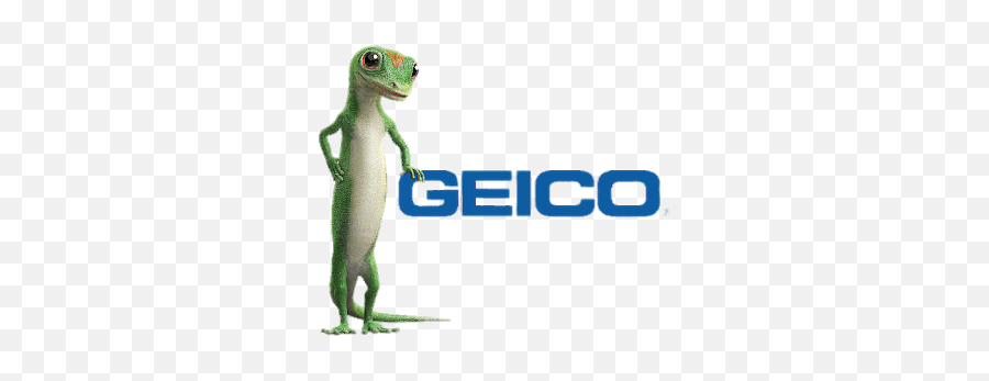 Geico Logo With Gecko Standing - Background Geico Logo Transparent Emoji,Geico Logo