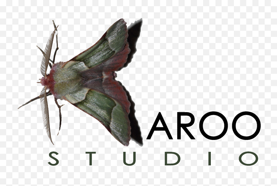 Karoo Studio - Web Design And Development Graphic Design Karoo Logos Emoji,Moth Logo