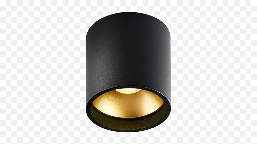 Solo Round Ceiling Lamp 3000k Blackgold - Lightpoint Emoji,Gold Light Png