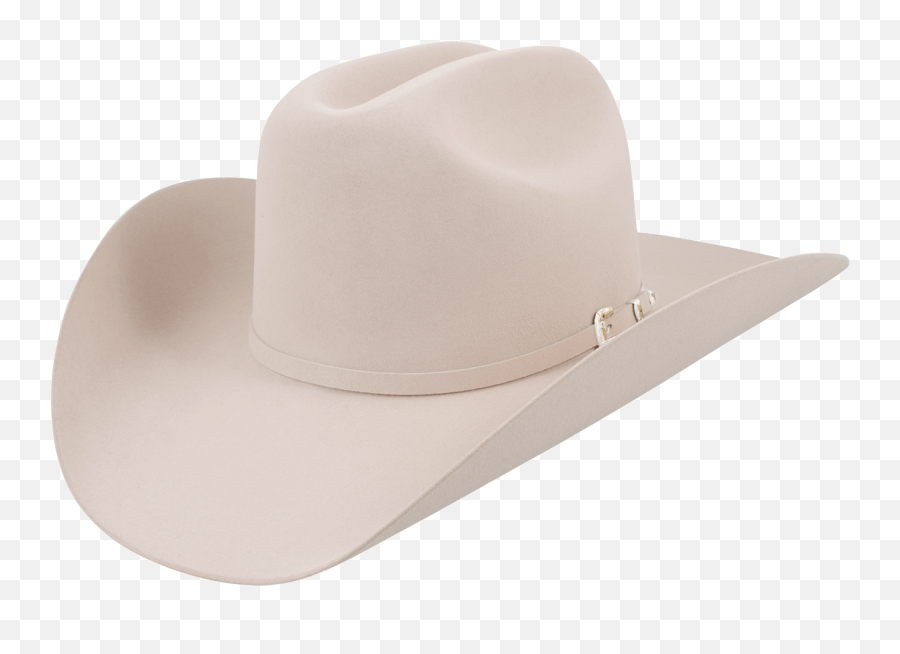 Stetson 30x El Patron Felt Hat - Silver Belly Stetson Hats Emoji,Cowboy Hat Transparent