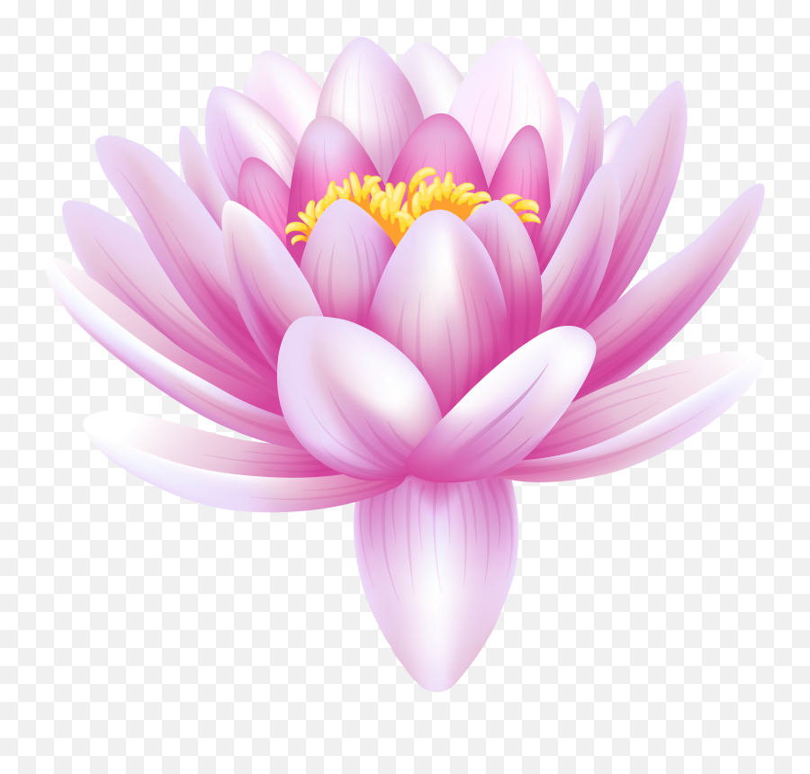 Hand Drawing Water Lily Lotus Flower - Girly Emoji,Lotus Flower Png