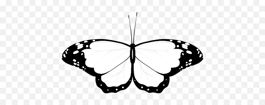 Wedding Clipart Butterfly - Monochrome Butterfly Full Size Butterfly Transparent Back Emoji,Wedding Clipart