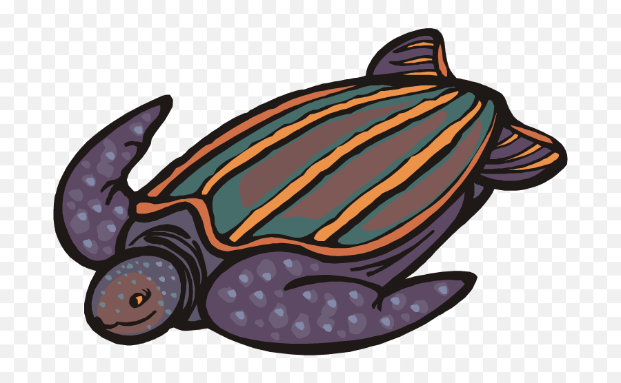 Download Hd Back Clipart Sea Turtle - Sea Turtle Cartoon Png Cute Leatherback Turtle Drawing Emoji,Back Clipart