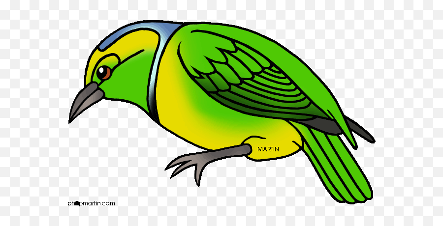 Rainforest Clip Art Clipart - Phillip Martin Clipart Bird Emoji,Forest Clipart
