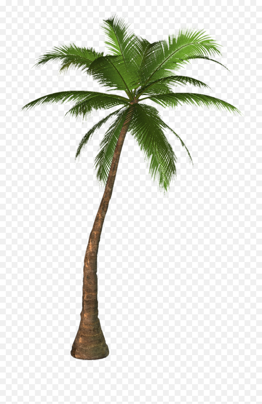Coconut Tree Png Image - Palm Tree Png Emoji,Tree Png