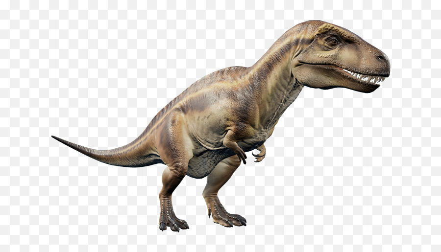 Acrocanthosaurus Jurassic World Evolution Wiki Fandom Emoji,Evolution Png