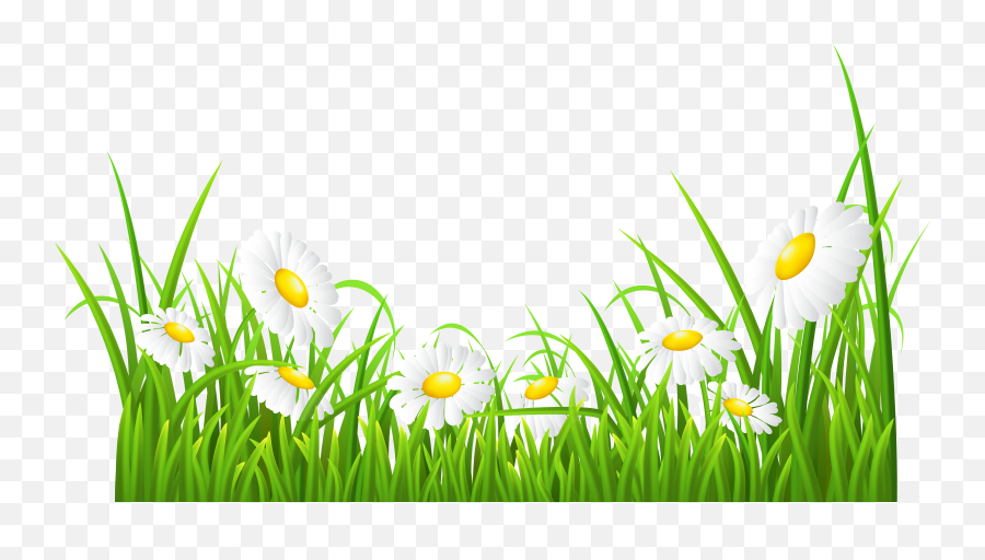 Download Royalty Free Green Grass Flowers Clipart - White Emoji,White Daisy Png