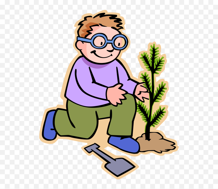 Boy Plants Evergreen Tree Vector Image Illustration Emoji,Evergreen Tree Clipart